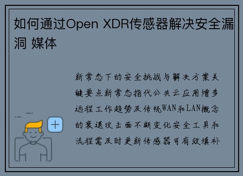 如何通过Open XDR传感器解决安全漏洞 媒体