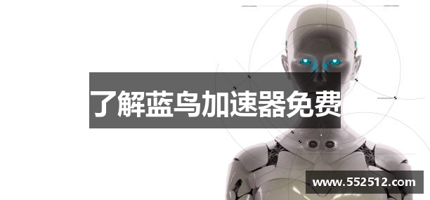 了解蓝鸟加速器免费